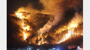 소방당국 “양양 산불, 70% 진화…담뱃불이 원인? 확인 안 돼”