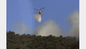 ‘양양산불’ 진화율 80%…기관별 뒷불 감시조 편성 준비