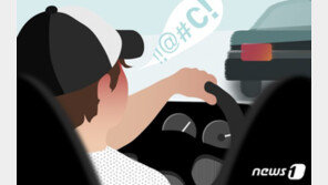 ‘임신한 아내‘ 태운 채 고속도로서 보복운전 20대 운전자 ‘징역형’