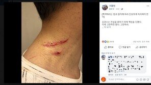 ‘김경수 지사 폭행’ 보수성향 50대 유튜버, 불구속기소