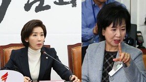 나경원 “신재민 관련 상임위 소집 추진”…손혜원 “정신 차리셔야”