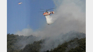 ‘양양산불’ 이틀만에 완전 진화…감시조 편성 잔불 대비