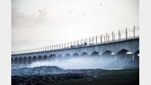 덴마크, 섬연결 다리서 철도사고로 6명 사망