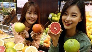 “비타민C 풍부한 자몽-스위티입니다”