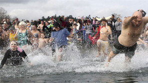 “출발! 2019” 캐나다 북극곰 수영대회