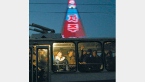 10만개 전구로 만든 ‘자주’