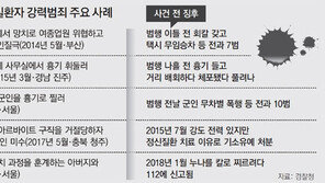 전과 있는 정신질환자 범죄 징후땐 강제입원