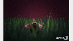 아파트 28층서 입주 청소하던 20대 러시아女 추락해 숨져