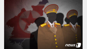 이탈리아 주재 北 대사대리, 제3국 망명 신청한 듯