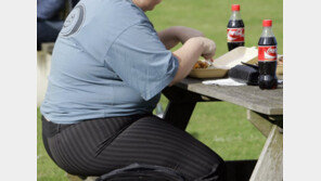 서유럽서 가장 뚱뚱한 영국…“비만은 질병” 논쟁