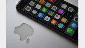 애플, 15년 만에 첫 분기 실적 대폭 하향 조정…美中 무역전쟁 영향?