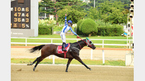 새해 첫 1등급 레이스 ‘신구 경주마 빅뱅’