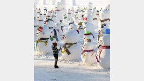 [고양이 눈]눈사람 인파