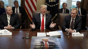 “김정은 친서, 판문점 북미 접촉 통해 트럼프에 전달”