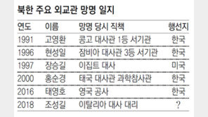 조성길, 유럽-美 등 제3국 망명 유력… 한국行은 힘들듯