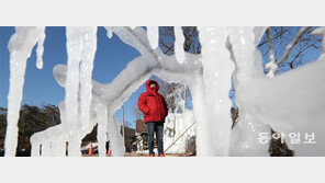 평균 기온 오르는데 한파 횟수는 그대로… “이상한 겨울”