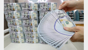 작년말 외환보유액 4037억달러 ‘사상 최대’ 경신