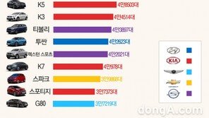 [2018년 결산 ①국산차] 그랜저·싼타페 ‘10만대 클럽’ 입성