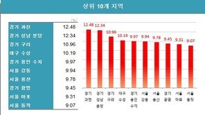 작년 과천 아파트값 전국 최고 상승률, 12.48%↑…분당·구리도 폭등