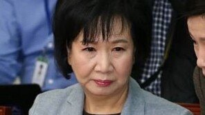 한국당 김종석 “손혜원 의원 글, 인격 살인 수준…위선의 민낯”