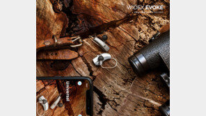 덴마크 와이덱스보청기, 신년맞이 전 품목 특가 이벤트