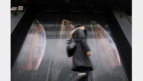 애플, 中만 문제가 아니다…새 성장동력 찾을 수 있나