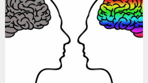 공기 전파로 치매 걸린다? 곰팡이, 몸에 들어가면 뇌까지 침투 첫 입증