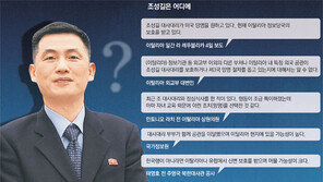 “조성길 美망명 요청… 伊정부 보호 받으며 美와 협의 진행중”