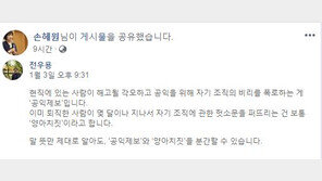 손혜원 “퇴직 후 헛소문 유포는 양아치짓” 전우용 SNS글 공유