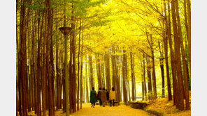 이유있는 그린벨트 해제 불가론…“서울, 해제시 미세먼지 악화”