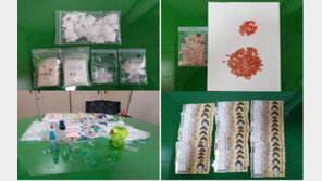 신종마약 ‘야바’ 국내 유통시킨 태국인 징역 1년6개월