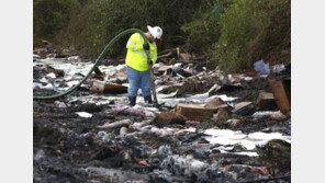 美플로리다서 교통사고…디즈니월드 가던 어린이 5명 사망