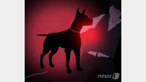 목줄 없는 개에 달려든 흥분한 개…법원 “흥분한 개 주인, 배상책임 70%”