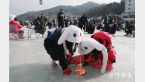 [청계천 옆 사진관] 송어도 낚고, 겨울도 낚고