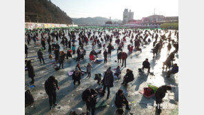[청계천 옆 사진관] 산천어가 ‘풍어’구나 