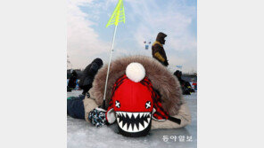 [고양이 눈]무섭지!