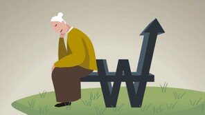 3배까지 껑충 오른 단독주택 공시가격… 건보료 급등-기초연금 탈락 부작용 우려