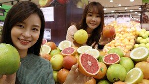 “비타민과 미네랄 풍부한 자몽 드세요”