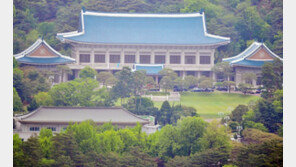 靑 “‘세월호 경고’ 해경 간부 조사, 민정수석실 소관 업무”