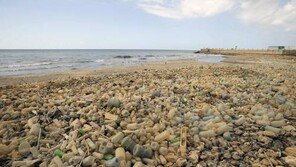 한국이 필리핀에 불법 수출 플라스틱 쓰레기, 다시 돌아온다