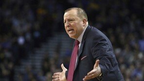 미네소타, 티보도 감독 해임…옛 감독 아들이 대행