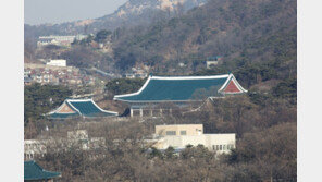 청와대 새 춘추관장에 유송화·제2부속비서관 내정