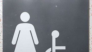 인천 여중생들, 공원 화장실서 여고생 1명 집단폭행