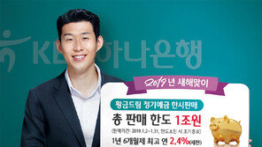 “황금돼지해, 고금리 상품으로 부자되세요”