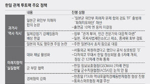 헛바퀴 도는 대일외교 ‘투트랙 전략’