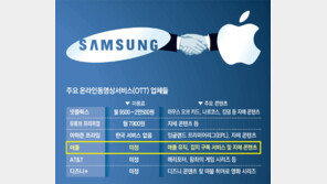 앙숙 삼성-애플 ‘스마트 동맹’… 삼성TV로 아이튠스 콘텐츠 본다