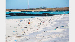‘바다 지킴이’ 없는 겨울…제주 바다 쓰레기로 뒤덮여