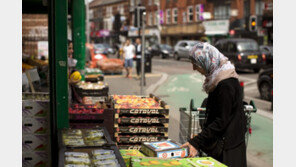 벨기에 “고통스러운 할랄·코셔식 살육 금지”