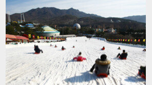 서울랜드 라바 눈썰매장, 겨울 나들이 코스로 인기