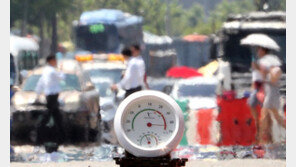 혹한·장기폭염·태풍까지…2018년 3대 극한기상 극성